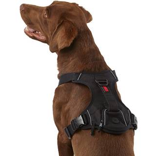 Kong Ultra holdbar affaldspose (Medium sort)