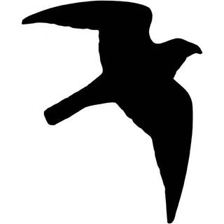 Sticker bird of prey