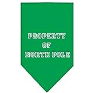 Egendom till North Pole Screen Print Bandana Emerald Green Large