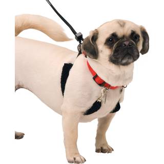 Sporn Original Training Halter til hunde r?d