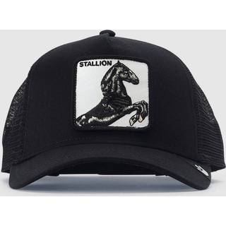 The Stallion Cap, Black, One size