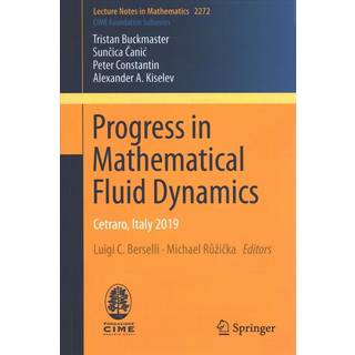 Progress in Mathematical Fluid Dynamics