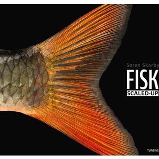 Fisk Scaled-Up