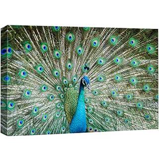 Canvas Prints Wall Art - Peacock, der viser sine smukke fjer/spredning af halen | Moderne vægindretning/boligdekoration Strækket galleri lærred i