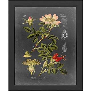 Varem?rke kunst sort ramme 16x20 midnat botanisk i ved vision studio flerfarve