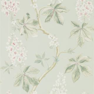 Chestnut Tree Seaspray/Peony - DWOW215710