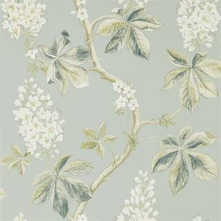 Chestnut Tree Grey Blue/Sage - DWOW215708