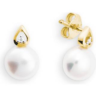 Palido Ohrstecker - X-mas 2021 K13083G - gold