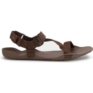 Xero Shoes Z-Trek Mens – Brown - 46