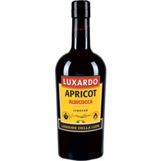 Luxardo Apricot Brandy