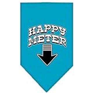 Happy Meter Screen Print Bandana turkos liten