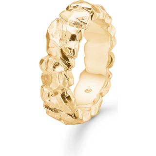 Studio Z Big Element ring i forgyldt sølv - Str. 56