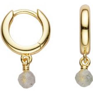 XENOX Creolen - XS91226G - gold