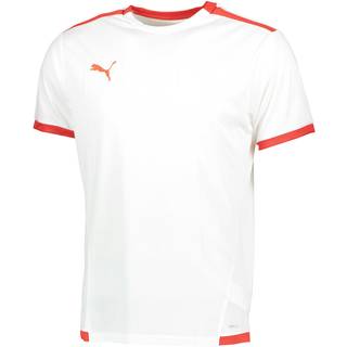 PUMA teamLIGA Trænings T-shirt Herre