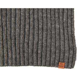 Barts Wyon Scarf Grau