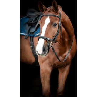LIPPO Fazzino trense - Sort, Cob