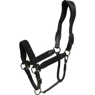 Catago Alani Flet Grime - COB