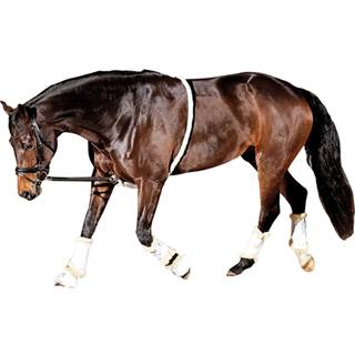 Soft Longeringshjælp - PONY/COB
