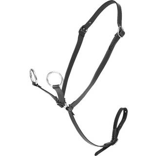 LeMieux Mini Toy Pony martingal - Sort