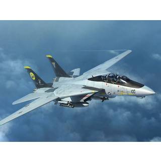 F-14D Tomcat