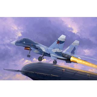 Russian Su-33UB Flanker D