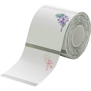 NIIMBOT - Thermal labels Niimbot stickers T 41x41mm 170 psc Transparent