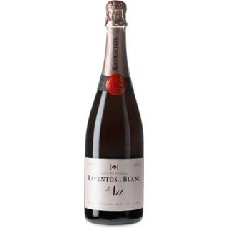 Raventós i Blanc de Nit Magnum 2022