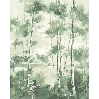 Foret Boreale - 89567805