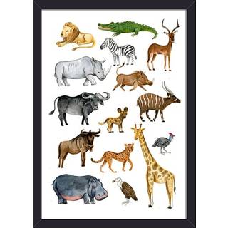Salling Eksotiske Dyr plakat med sort glasramme 21x29,7 cm