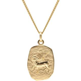 trendor 15404-04 Widder Sternzeichen Gold 333 / 8K mit vergoldeter Silberkette