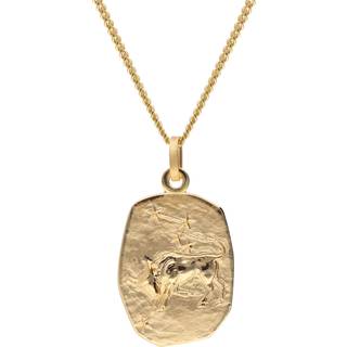 trendor 15404-05 Stier Sternzeichen Gold 333 / 8K mit vergoldeter Silberkette