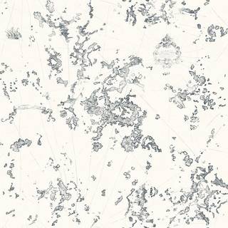 So White 4 Cap Vrai Ecnre - SWHT83989312