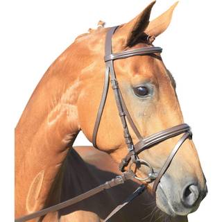 Waldhausen Star Trense Lifestyle