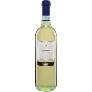 Bianco di Custoza 2023 Cantine Lenotti