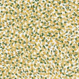 Ana Cúrcuma - A00228N