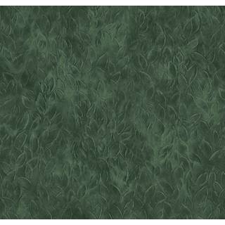 Rob Leaves Silvester - A00140N