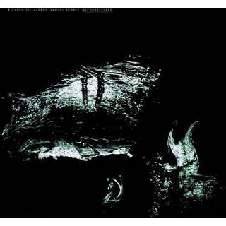 Ricardo & Samuel Rohrer Villalobos - Microgestures
