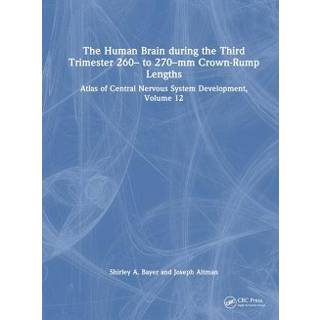 The Human Brain during the Third Trimester 260– to 270–mm Crown-Rump Lengths