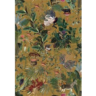 Menagerie of Extinct Animals - Curry