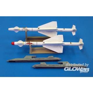 Russian missile R-24T