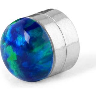 5 mm Magnetisk Jord Ørering