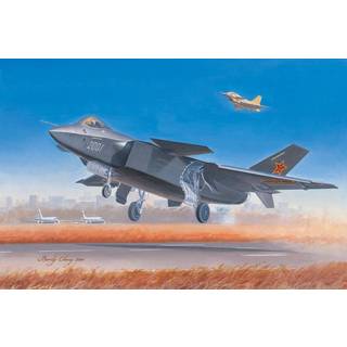 Chinese J-20 Fighter