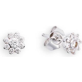 Palido Ohrstecker - X-mas 2021 K13053W - weißgold