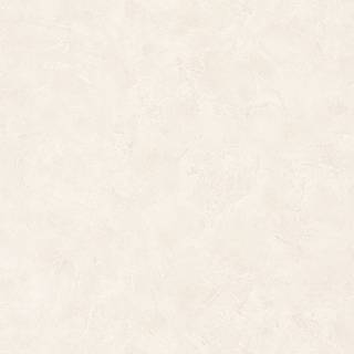 Patine Uni Beige Moyen - PAI100221343