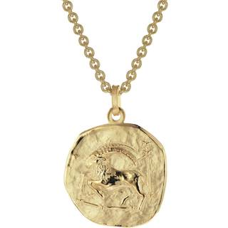 trendor 39070-01 Steinbock Sternzeichen Ø 20 mm Herrenkette Gold auf Silber