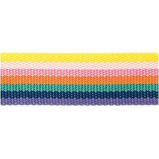 Gurtband gestreift 40mm 2m - Rainbow