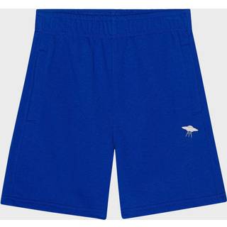 Molo Adian Shorts Reef Blue 110 cm Blå 110 cm mand