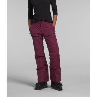 Dawnstrike GTX Insulated Pant W Boysenberry (M)