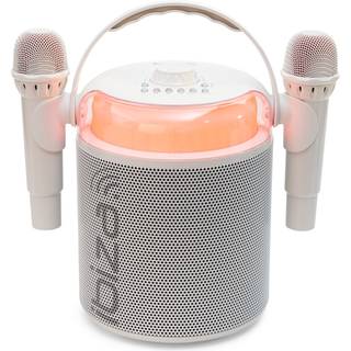 Ibiza Karaoke Anlæg m. Bluetooth og 2 Mikrofoner (Hvid)