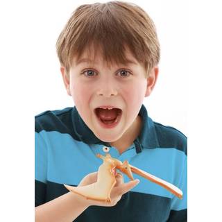 Balancerende flyveøgle, Pteranodon